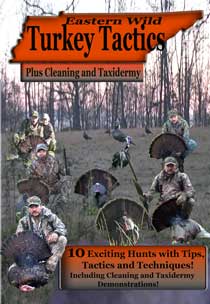 Eastern Wild Turkey Tactics